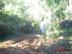 DSC00762.jpg