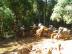 DSC00767.jpg
