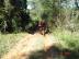 DSC00770.jpg
