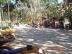DSC00781.jpg